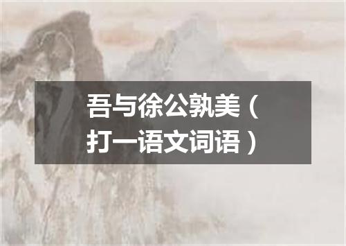 吾与徐公孰美（打一语文词语）