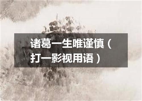 诸葛一生唯谨慎（打一影视用语）