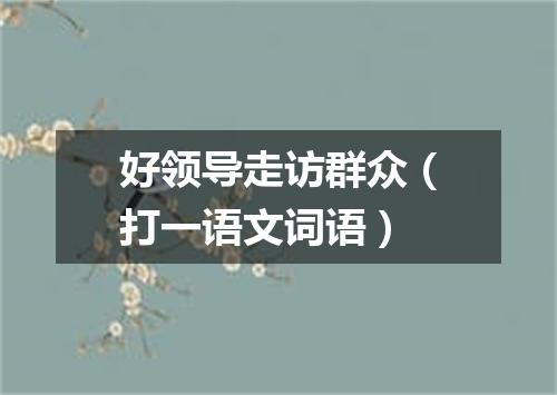 好领导走访群众（打一语文词语）