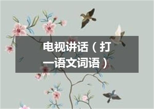 电视讲话（打一语文词语）