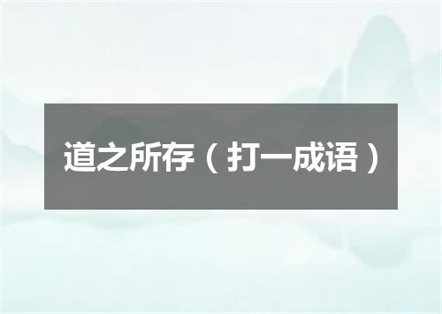 道之所存（打一成语）
