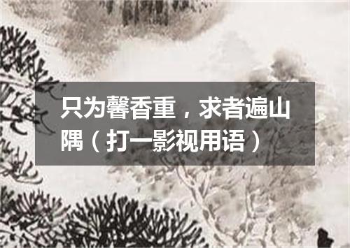 只为馨香重，求者遍山隅（打一影视用语）