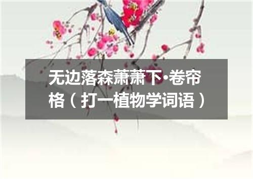 无边落森萧萧下·卷帘格（打一植物学词语）