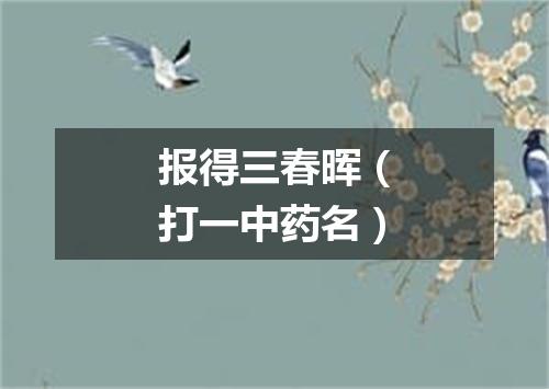 报得三春晖（打一中药名）