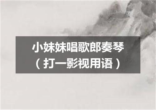 小妹妹唱歌郎奏琴（打一影视用语）