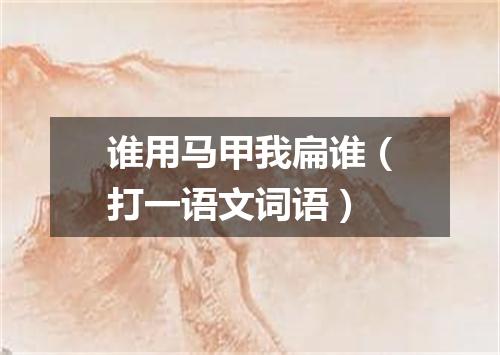 谁用马甲我扁谁（打一语文词语）