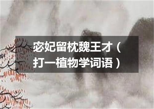 宓妃留枕魏王才（打一植物学词语）