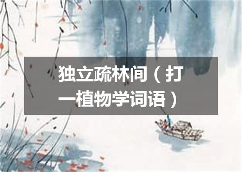 独立疏林间（打一植物学词语）