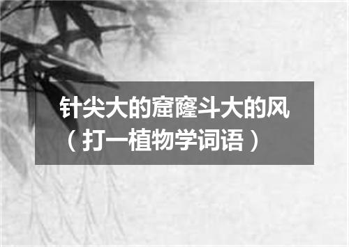 针尖大的窟窿斗大的风（打一植物学词语）
