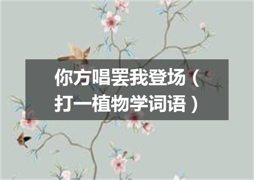 你方唱罢我登场（打一植物学词语）