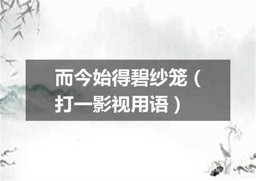 而今始得碧纱笼（打一影视用语）