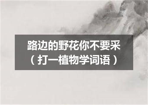 路边的野花你不要采（打一植物学词语）