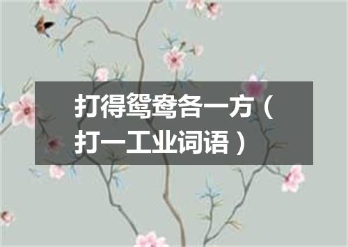 打得鸳鸯各一方（打一工业词语）