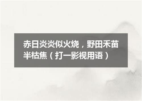 赤日炎炎似火烧，野田禾苗半枯焦（打一影视用语）