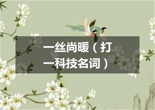 一丝尚暖（打一科技名词）