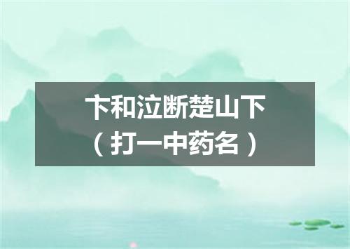 卞和泣断楚山下（打一中药名）