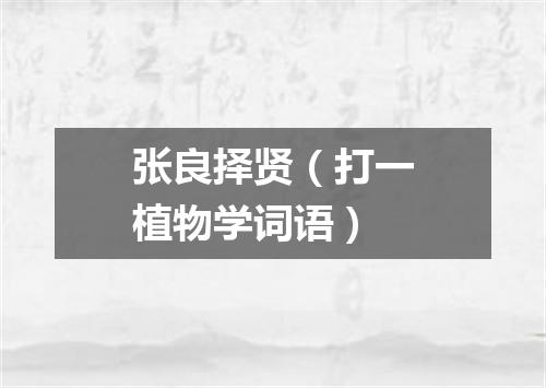 张良择贤（打一植物学词语）