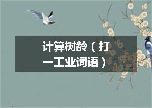 计算树龄（打一工业词语）