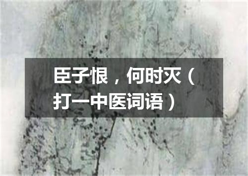 臣子恨，何时灭（打一中医词语）