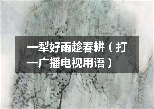 一犁好雨趁春耕（打一广播电视用语）