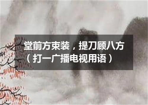 堂前方束装，提刀顾八方（打一广播电视用语）