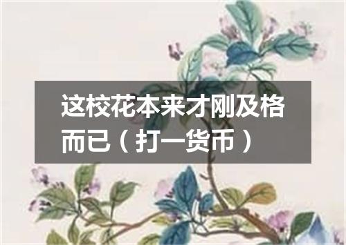 这校花本来才刚及格而已（打一货币）