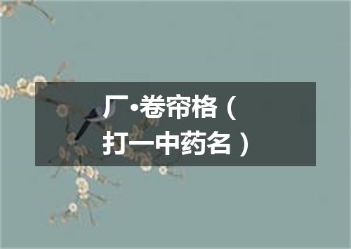 厂·卷帘格（打一中药名）