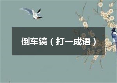 倒车镜（打一成语）