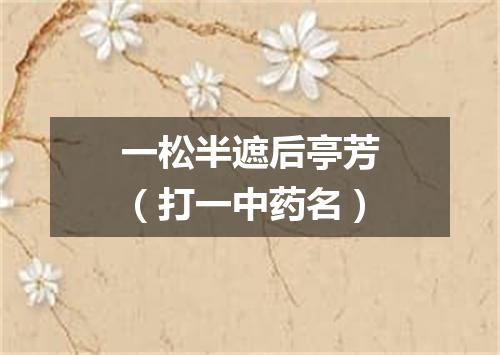 一松半遮后亭芳（打一中药名）