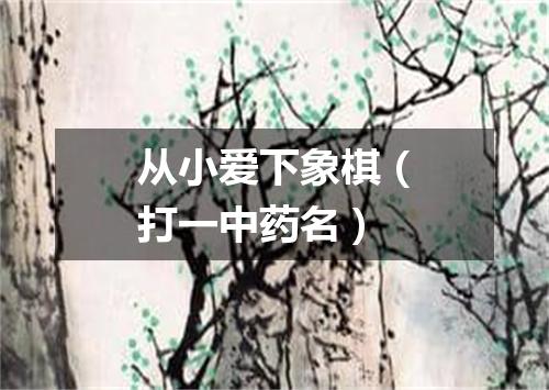从小爱下象棋（打一中药名）