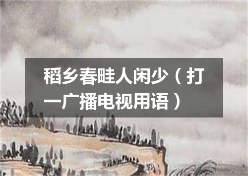 稻乡春畦人闲少（打一广播电视用语）