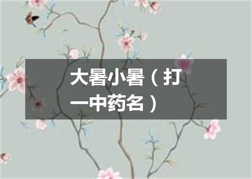 大暑小暑（打一中药名）