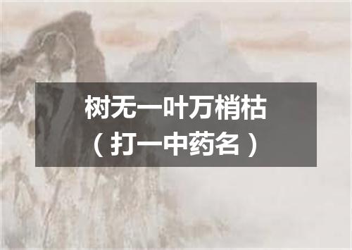树无一叶万梢枯（打一中药名）