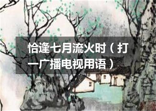 恰逢七月流火时（打一广播电视用语）