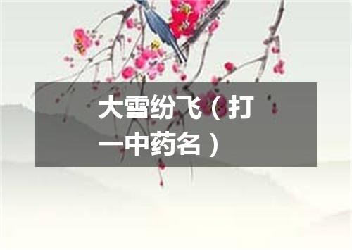大雪纷飞（打一中药名）