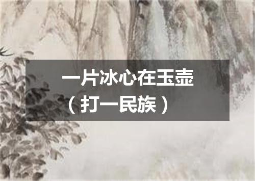 一片冰心在玉壶（打一民族）