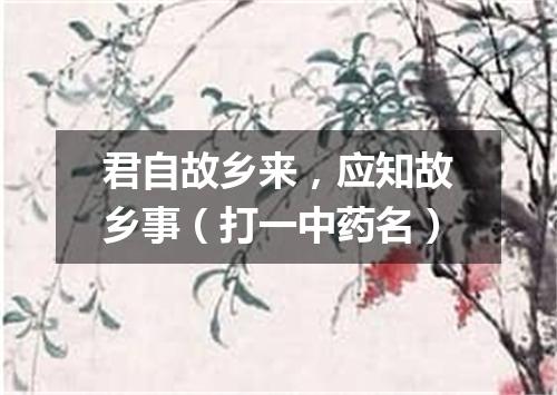 君自故乡来，应知故乡事（打一中药名）