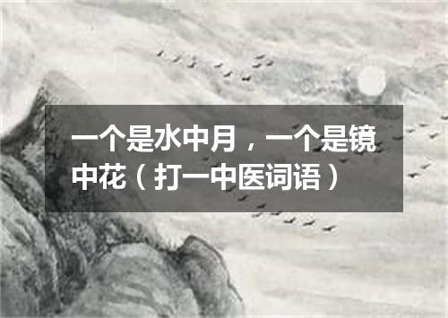 一个是水中月，一个是镜中花（打一中医词语）