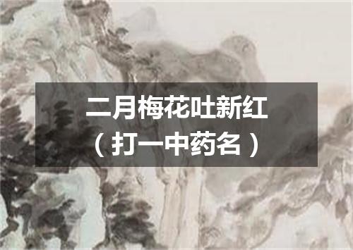 二月梅花吐新红（打一中药名）