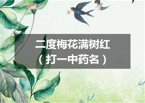 二度梅花满树红（打一中药名）