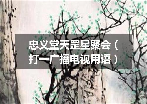 忠义堂天罡星聚会（打一广播电视用语）