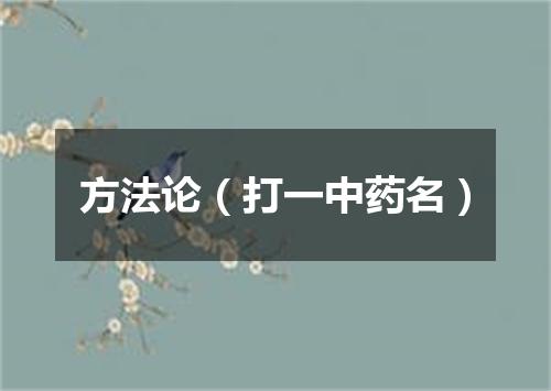 方法论（打一中药名）