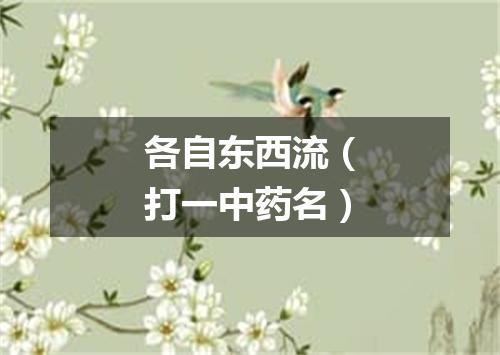 各自东西流（打一中药名）