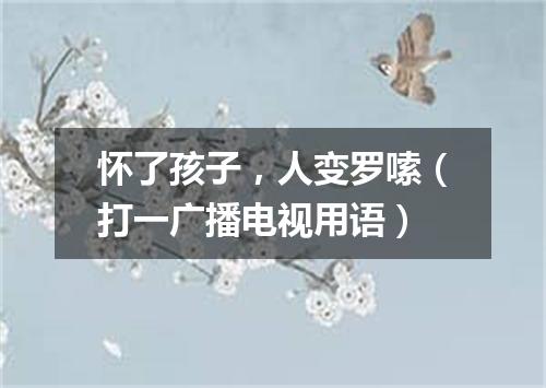 怀了孩子，人变罗嗦（打一广播电视用语）