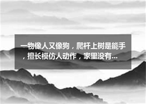 一物像人又像狗，爬杆上树是能手，擅长模仿人动作，家里没有山里有。（打一动物）