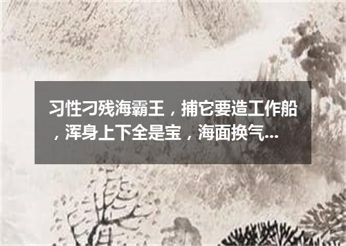 习性刁残海霸王，捕它要造工作船，浑身上下全是宝，海面换气喷银泉。（打一动物）