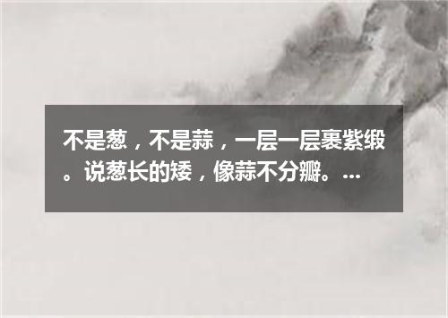 不是葱，不是蒜，一层一层裹紫缎。说葱长的矮，像蒜不分瓣。（打一蔬菜）