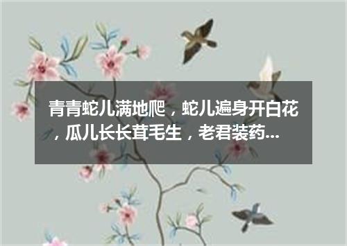 青青蛇儿满地爬，蛇儿遍身开白花，瓜儿长长茸毛生，老君装药要用它。（打一植物）