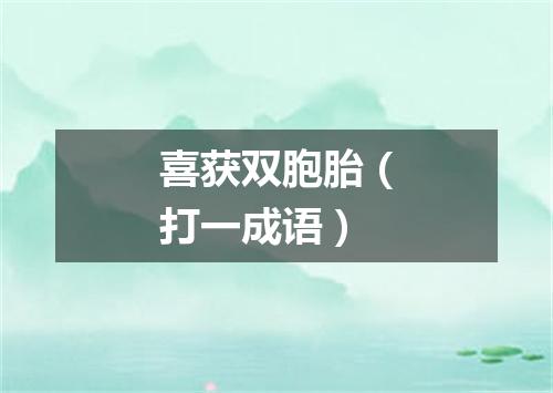 喜获双胞胎（打一成语）