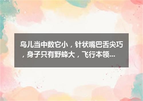 鸟儿当中数它小，针状嘴巴舌尖巧，身子只有野蜂大，飞行本领却很高。（打一动物）